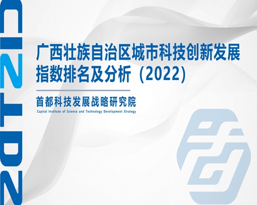 大操逼黄片了看电影快点【成果发布】广西壮族自治区城市科技创新发展指数排名及分析（2022）